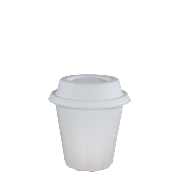 Cappuccinobekers - Bagasse Fiber Cups - wit - 230cc/8oz - 1.000 st/ds