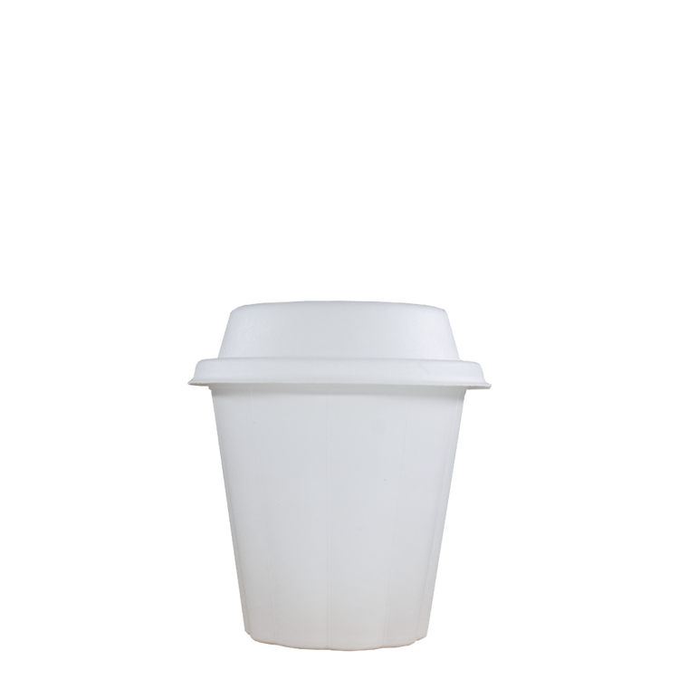 Cappuccinobekers - Bagasse Fiber Cups - wit - 230cc/8oz - 1.000 st/ds