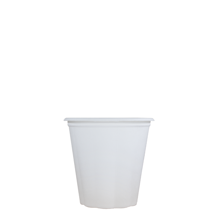 Cappuccinobekers - Bagasse Fiber Cups - wit - 230cc/8oz - 1.000 st/ds